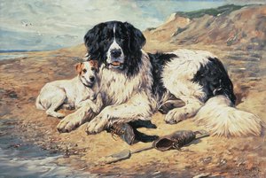 水浴びをする犬、1900